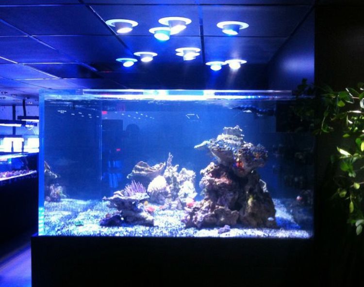 Светодиодный светильник для аквариума фото
